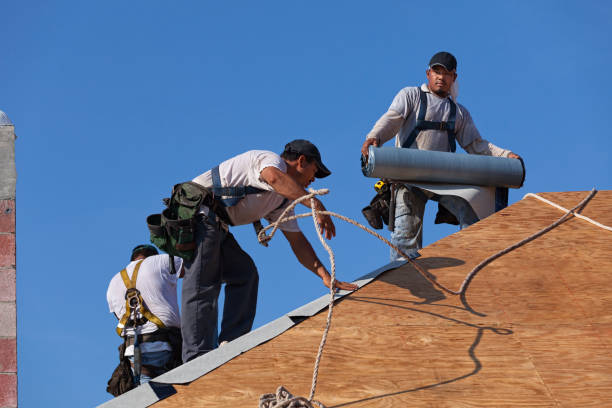 Best Roof Leak Repair  in Daly City, CA